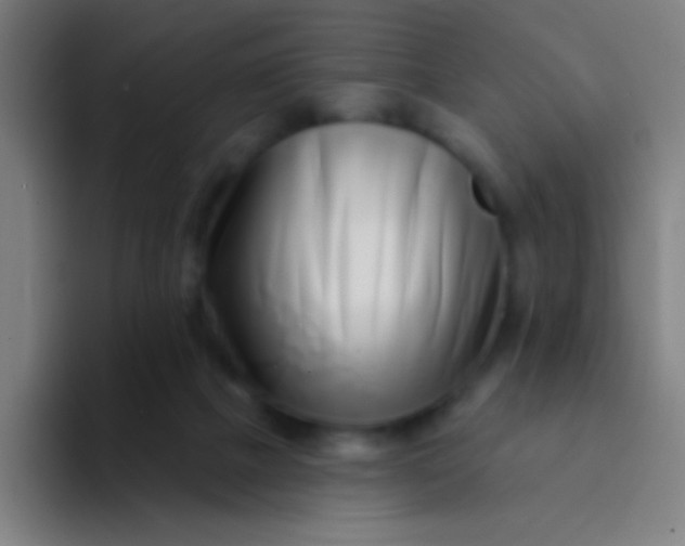 X0000094330073200711161958