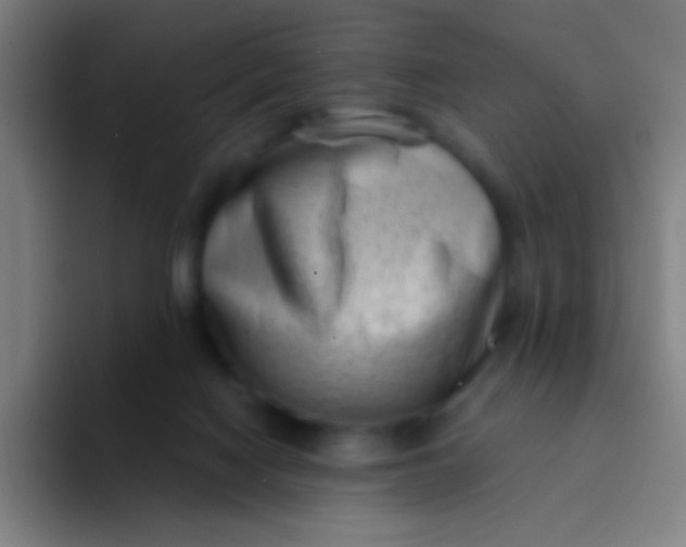 X0000094330074200711161958