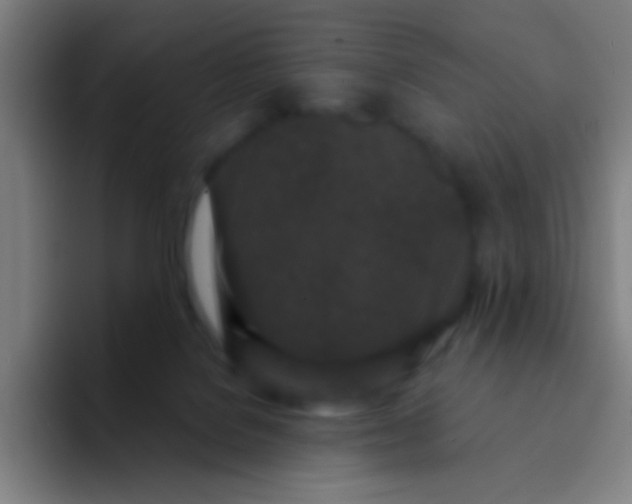 X0000094330076200711161958