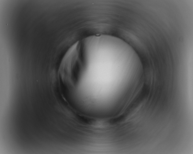 X0000094330077200711161958