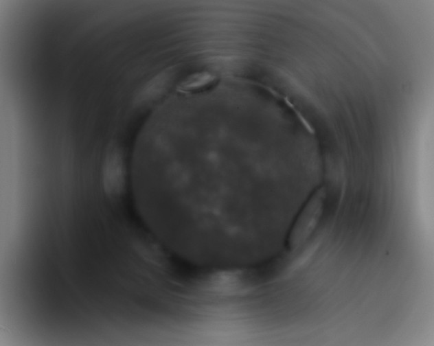 X0000094330080200711161958