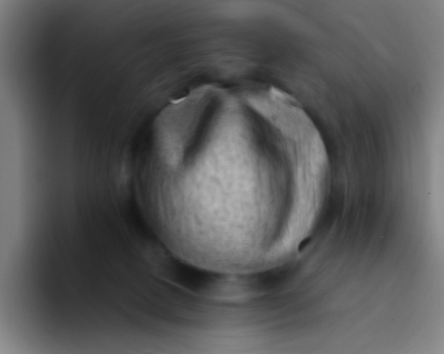 X0000094330082200711161958