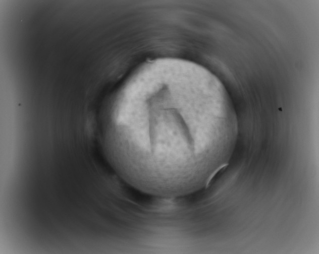X0000094330083200711161958