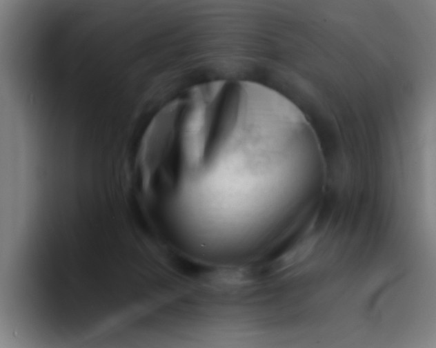 X0000094330086200711161958