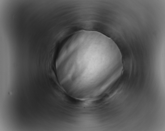 X0000094330092200711161958