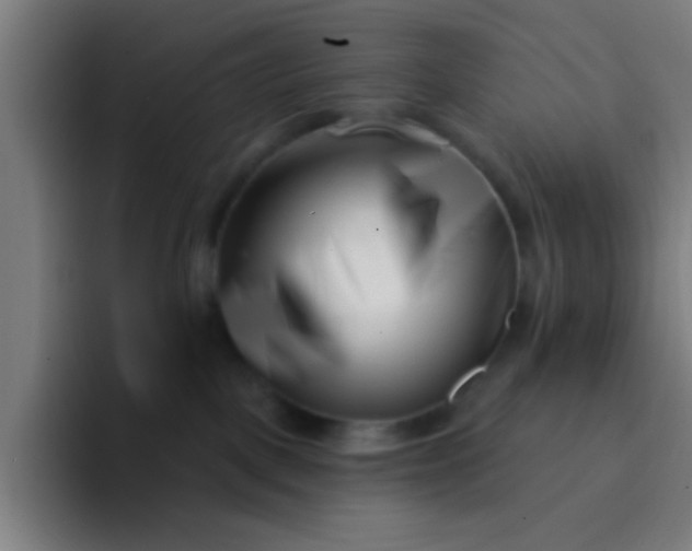 X0000094330093200711161958