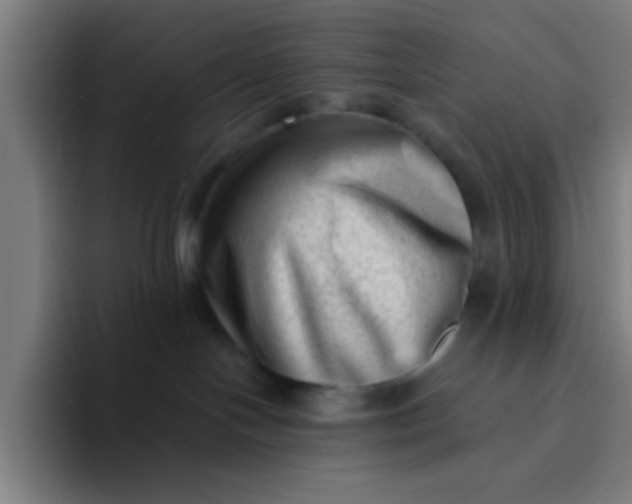 X0000094330094200711161958