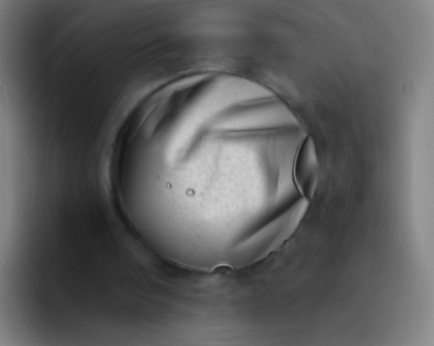 X0000094330098200711161958