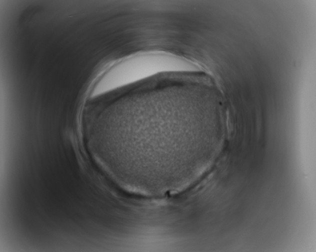 X0000094330099200711161958