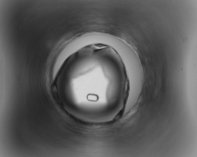 X0000094330101200711161958
