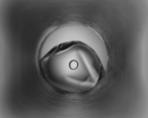 X0000094330104200711161958