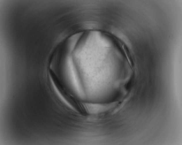 X0000094330105200711161958