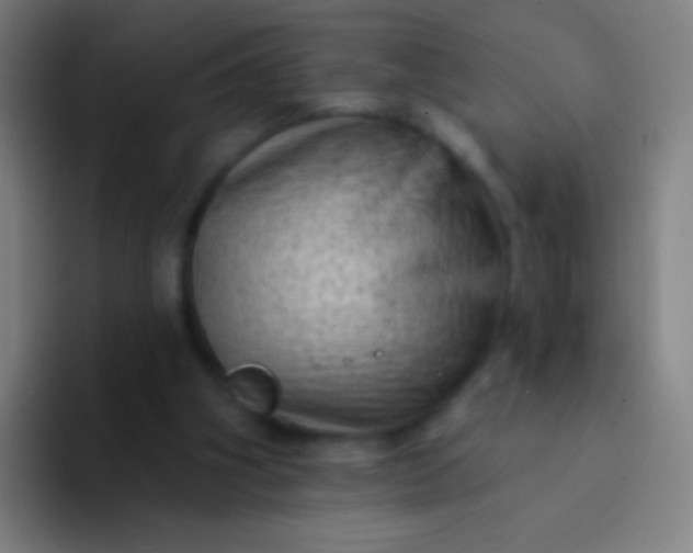 X0000094330106200711161958