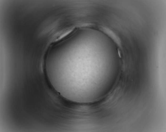 X0000094330107200711161958