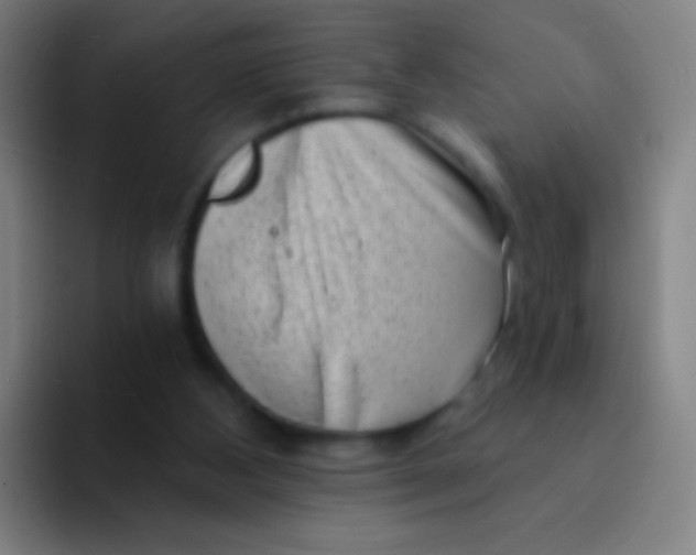 X0000094330108200711161958