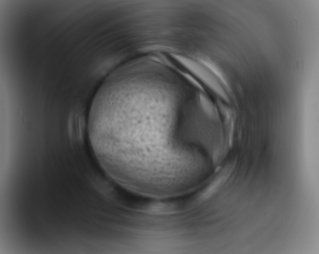X0000094330109200711161958