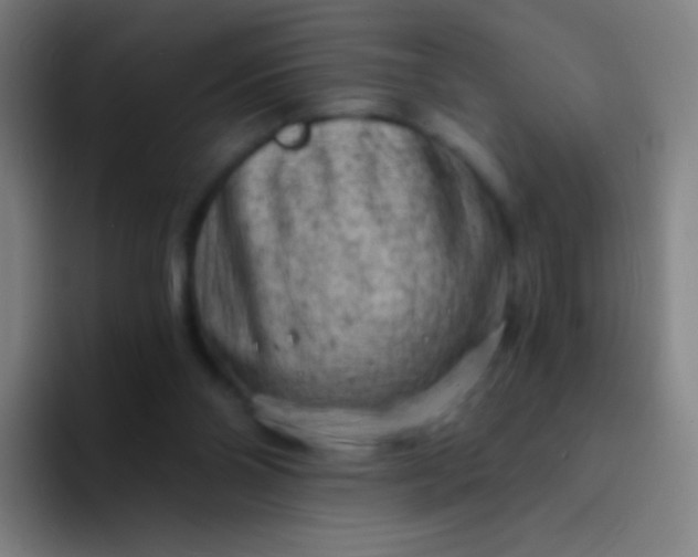X0000094330110200711161958