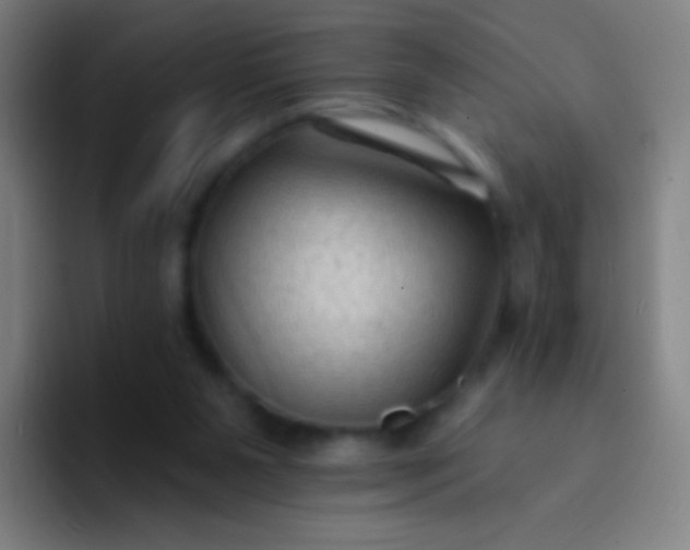 X0000094330111200711161958