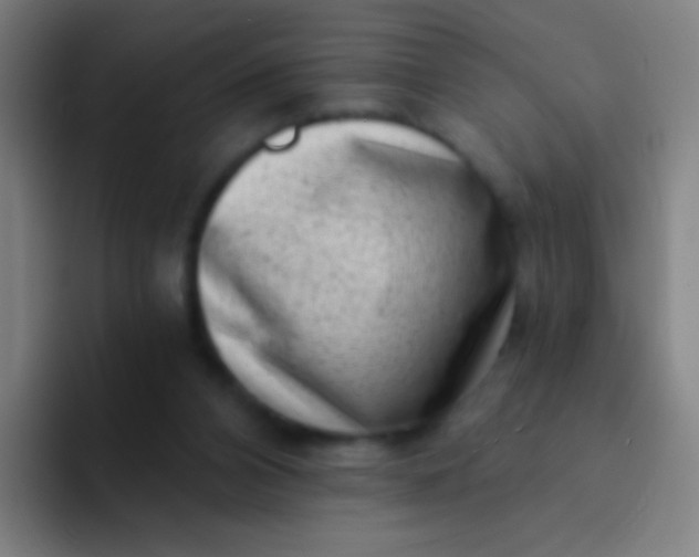 X0000094330112200711161957