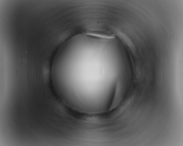 X0000094330113200711161957