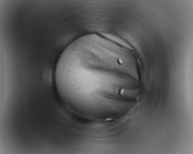 X0000094330115200711161957