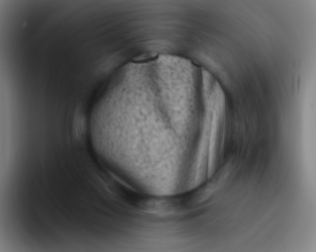X0000094330117200711161957