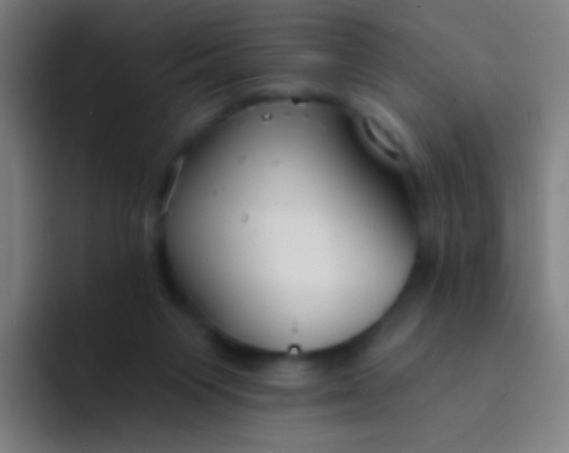 X0000094330119200711161957