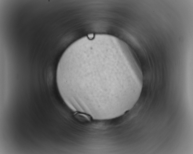 X0000094330120200711161957