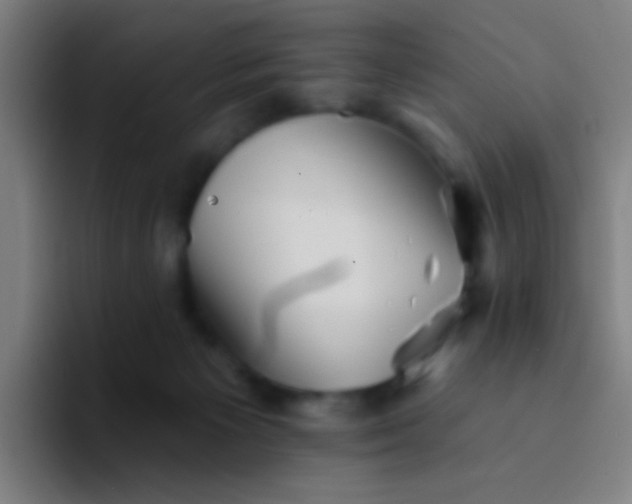 X0000094330125200711161957