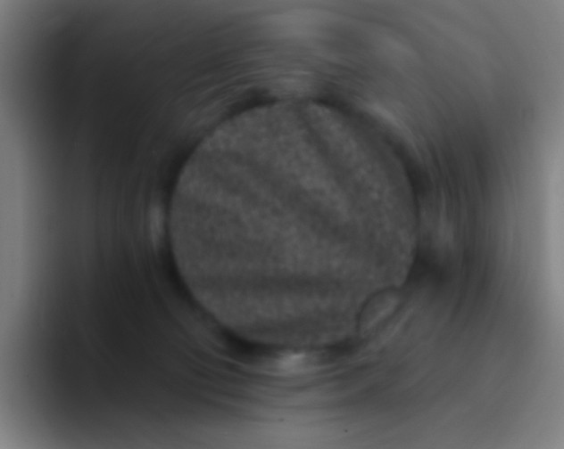 X0000094330130200711161957