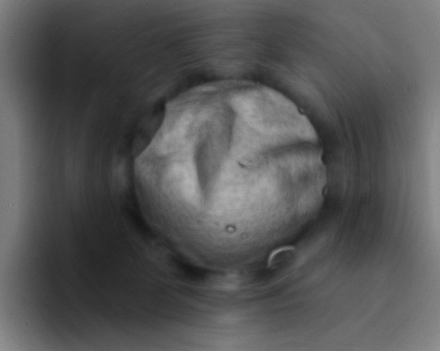 X0000094330131200711161957