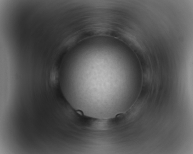 X0000094330138200711161957