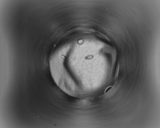 X0000094330140200711161957