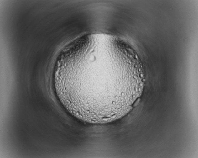 X0000094330145200711161956