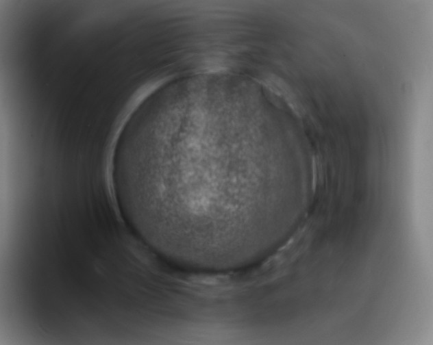 X0000094330147200711161956