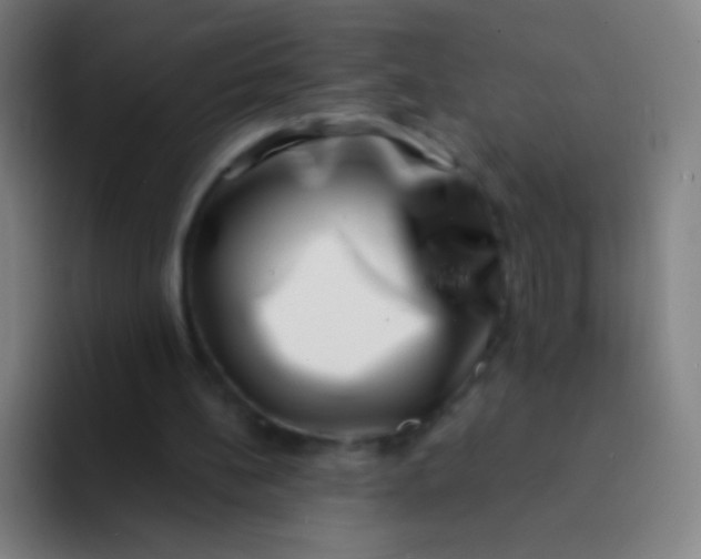 X0000094330148200711161956