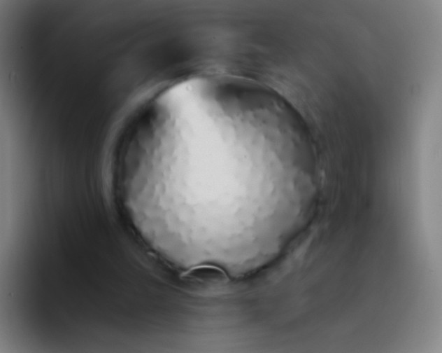 X0000094330149200711161957