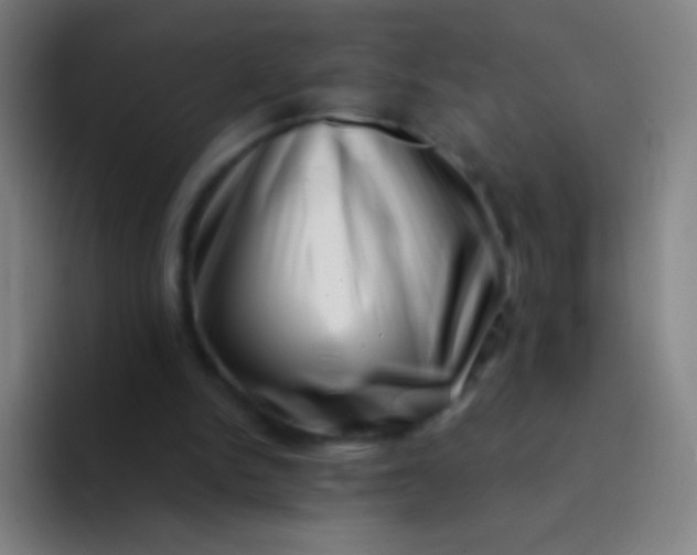 X0000094330150200711161957
