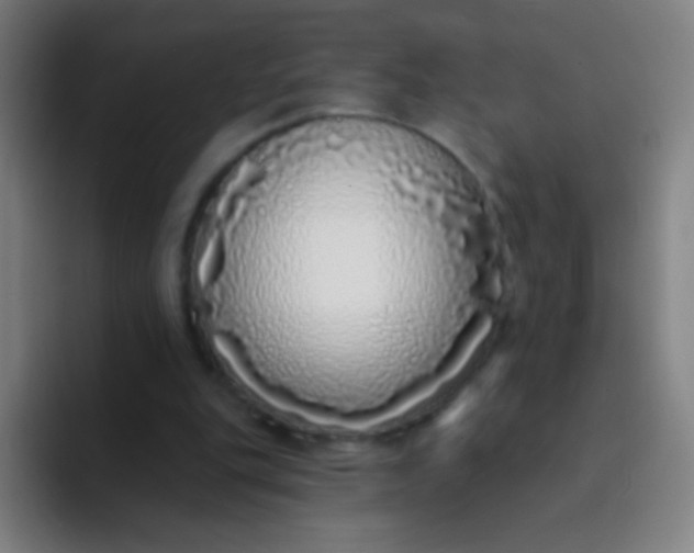 X0000094330151200711161957