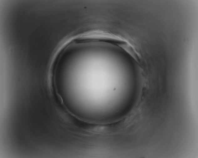 X0000094330152200711161957
