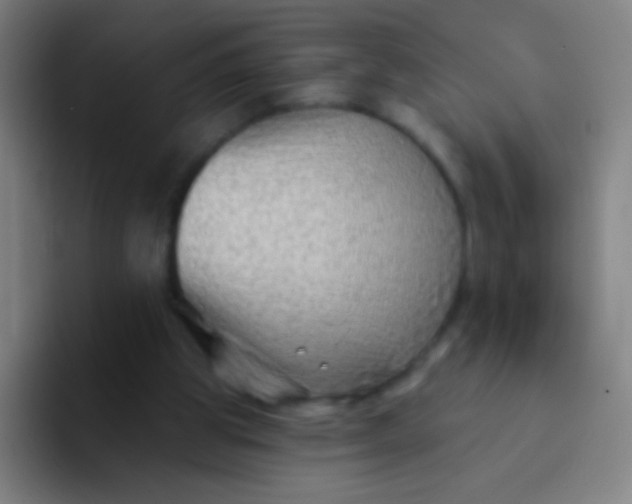 X0000094330153200711161957