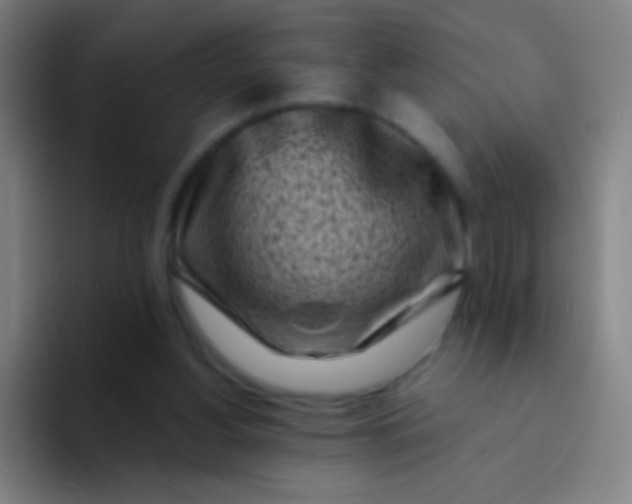 X0000094330156200711161957