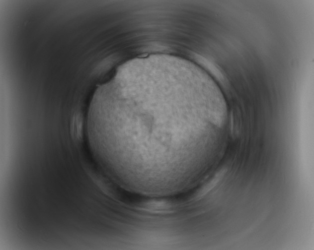 X0000094330157200711161957