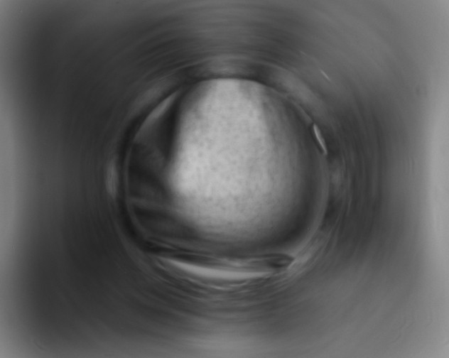 X0000094330158200711161957
