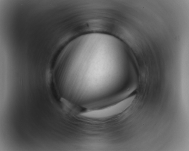X0000094330160200711161957