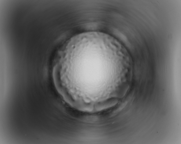 X0000094330161200711161957