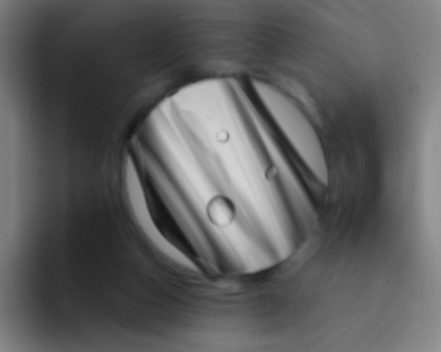 X0000094330162200711161957