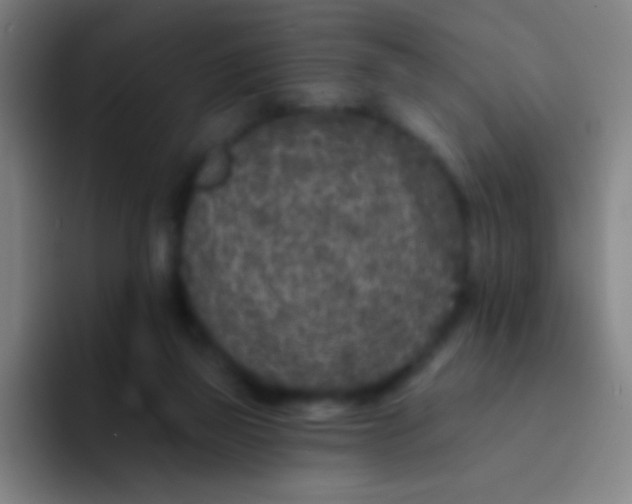 X0000094330165200711161957