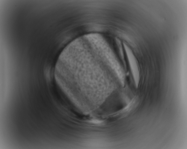 X0000094330168200711161957