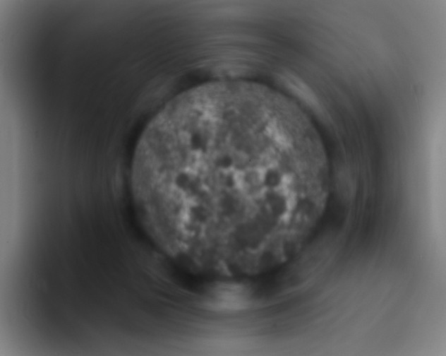 X0000094330169200711161957